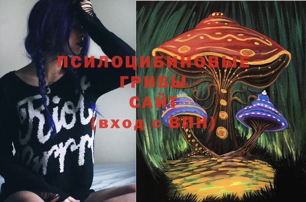 стаф Гусев
