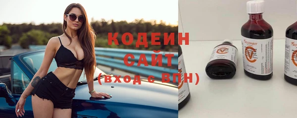 стаф Гусев