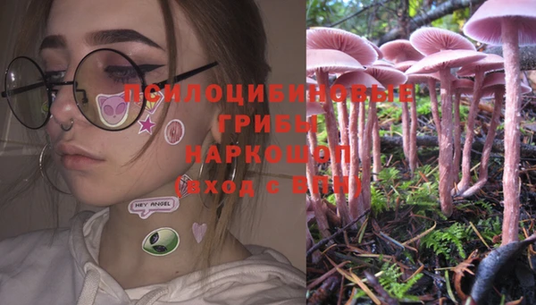 таблы Гусь-Хрустальный