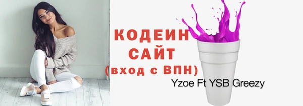 стаф Гусев