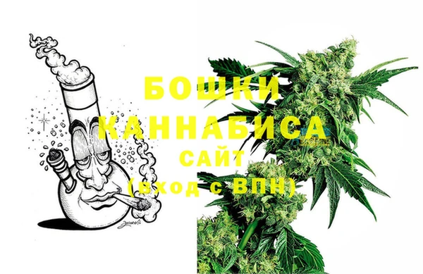 гашик Гусиноозёрск