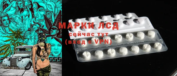 стаф Гусев