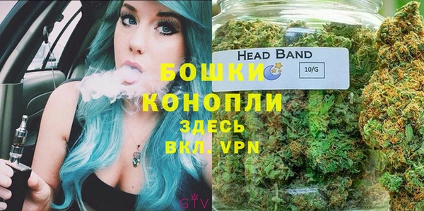 гашик Гусиноозёрск