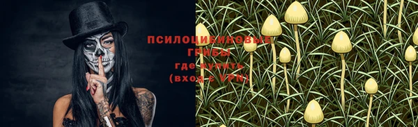 гашик Гусиноозёрск